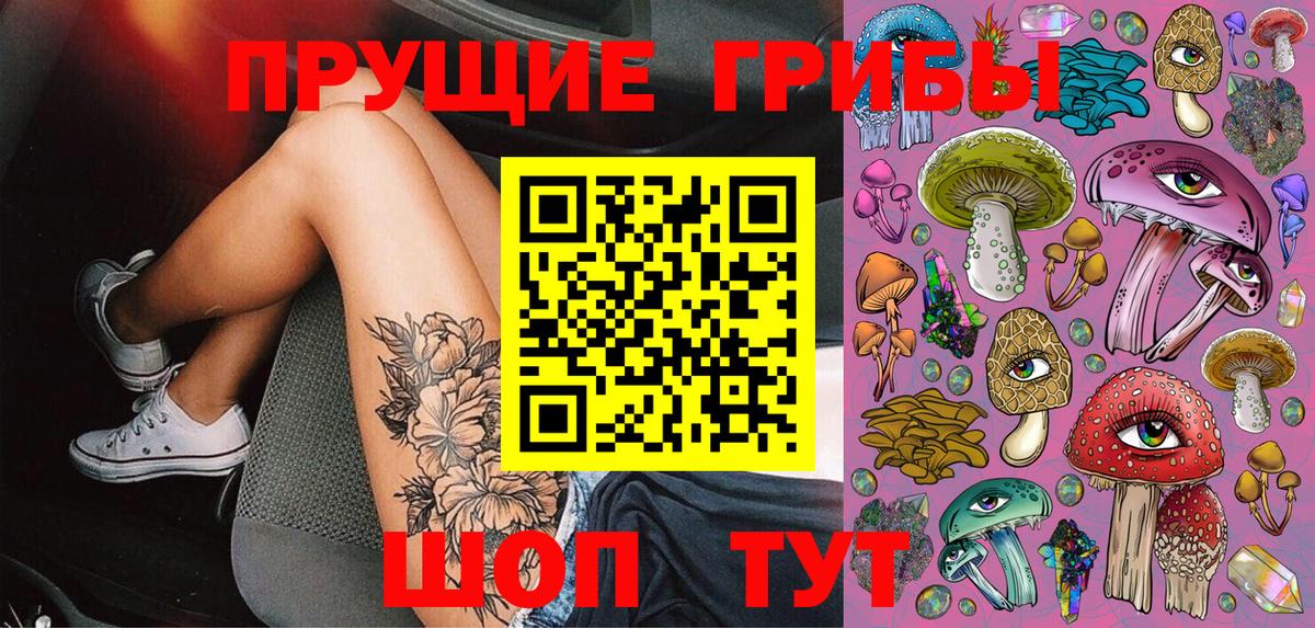 Псилоцибиновые грибы прущие грибы Саратов