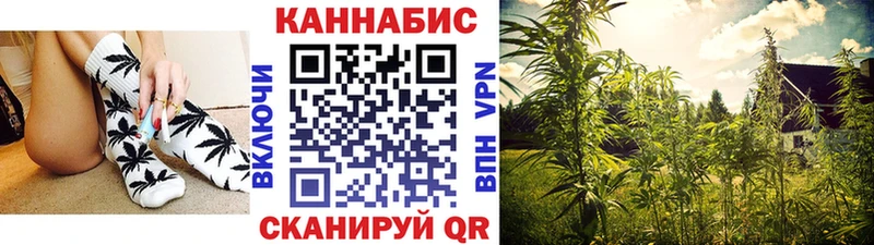 Бошки марихуана план Саратов